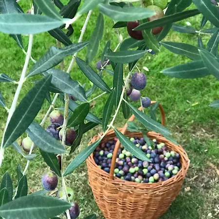 Hotel Mala Poreč Kukci