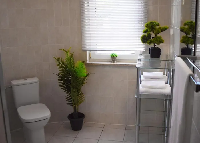 Mala Porec ホテル 3*